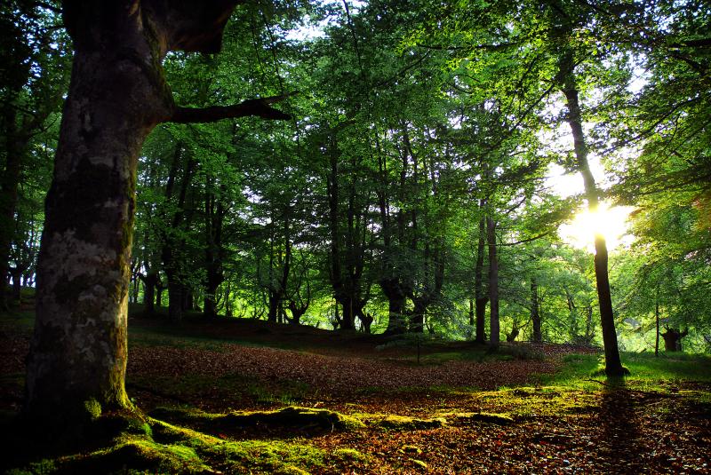 Mountain Bike Route: Close to Urkiola