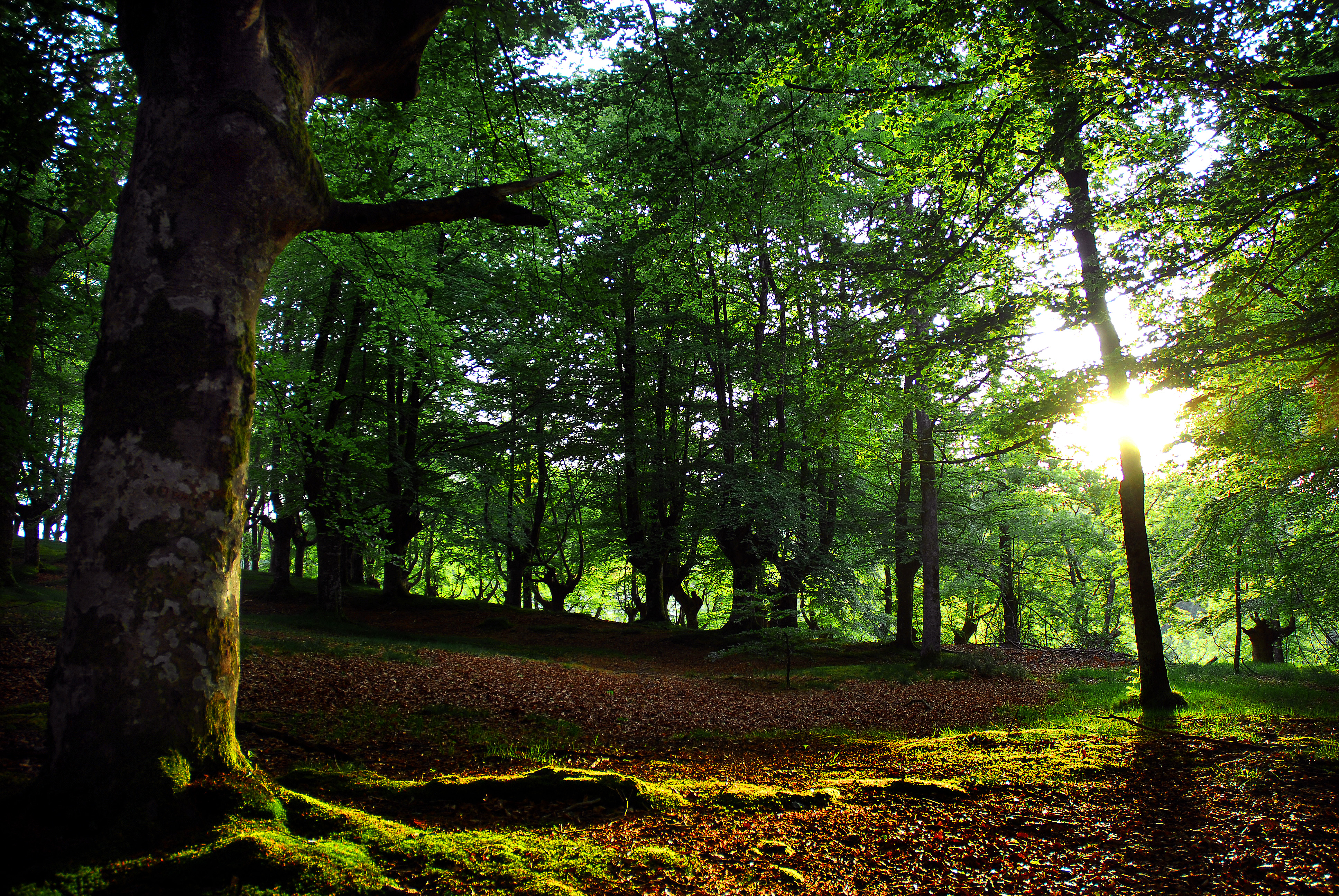 Près d'Urkiola