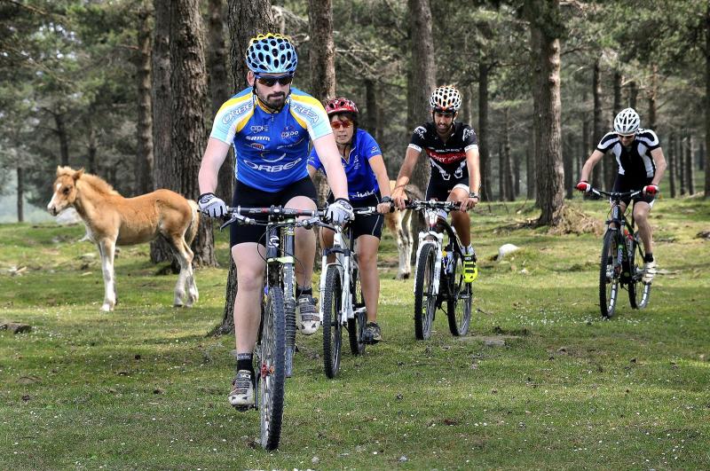 VTT Route: Entre les forêts